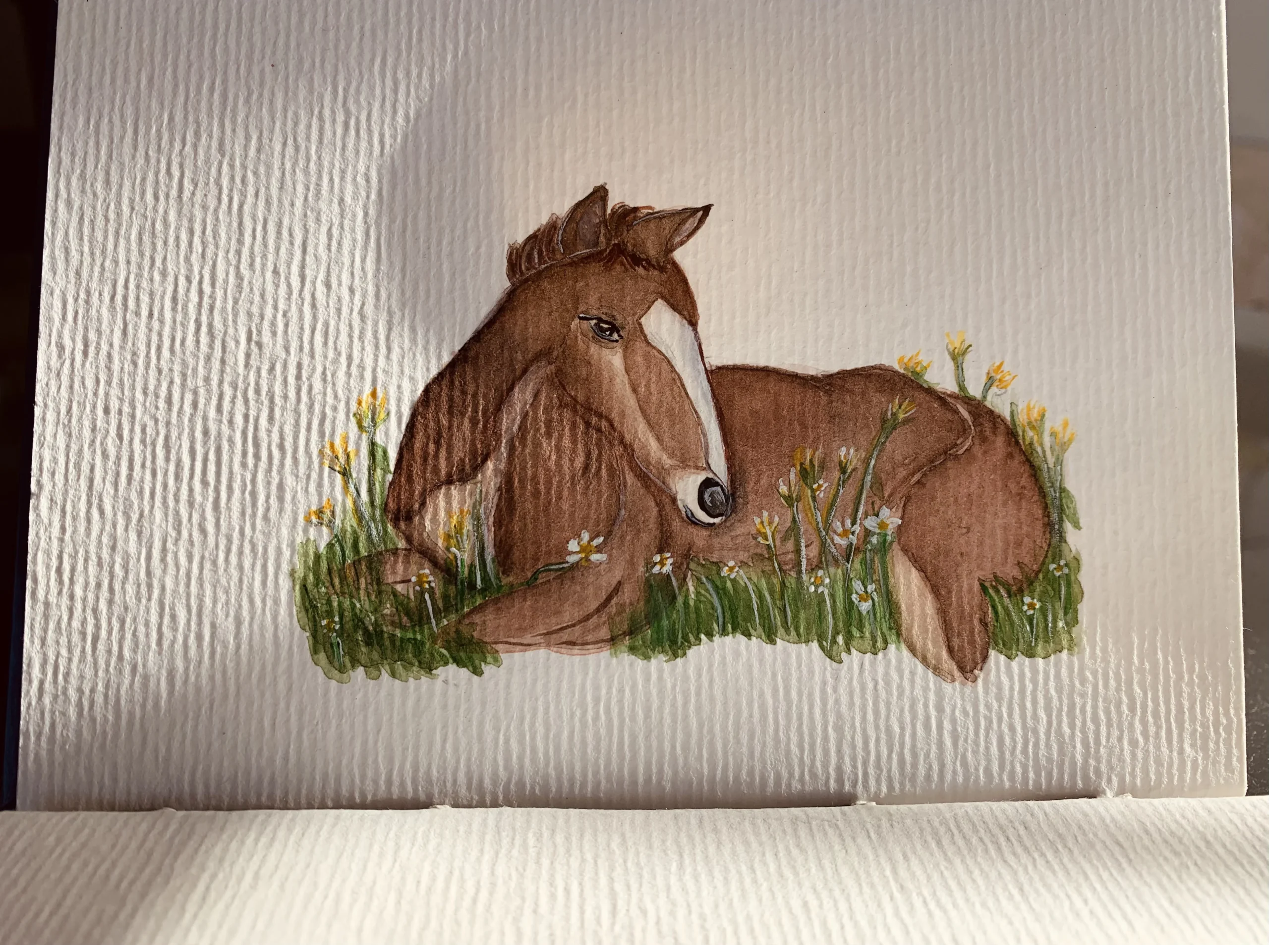 Cavalo em aquarela